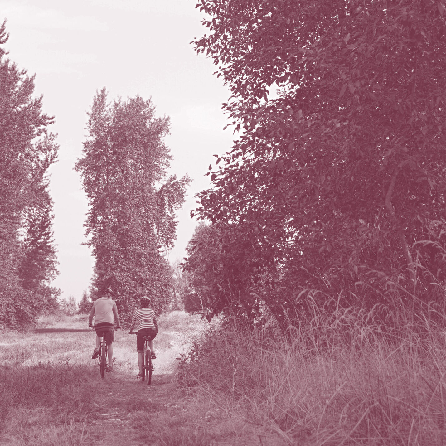 Two cyclists along a dirt road.